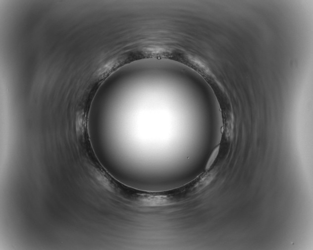 X0000087050476200704181241