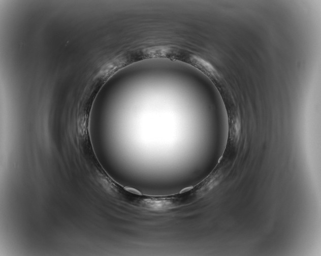 X0000087050477200704181241
