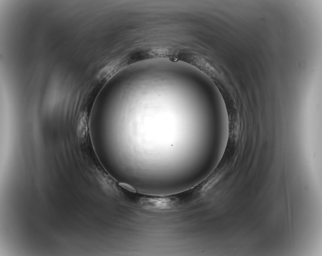 X0000087050478200704181241