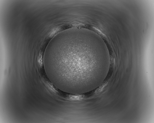 X0000087050479200704181241