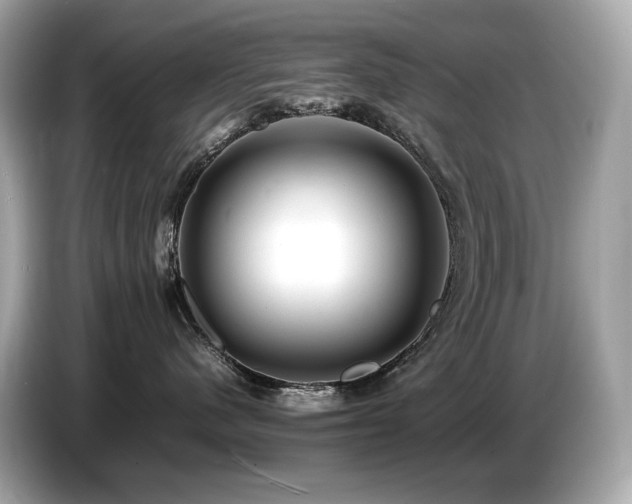 X0000087050480200704181241