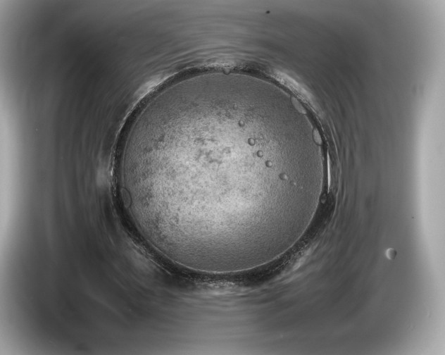 X0000087050483200704181240