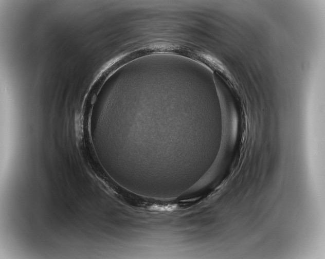 X0000087050484200704181240
