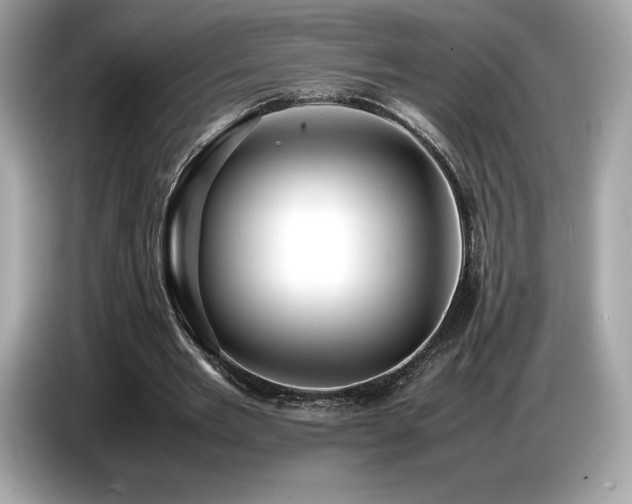X0000087050485200704181240