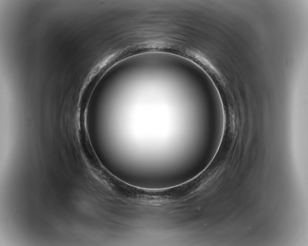 X0000087050486200704181240