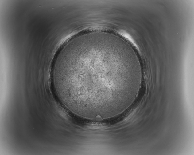 X0000087050487200704181240