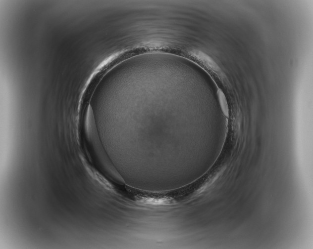 X0000087050488200704181240