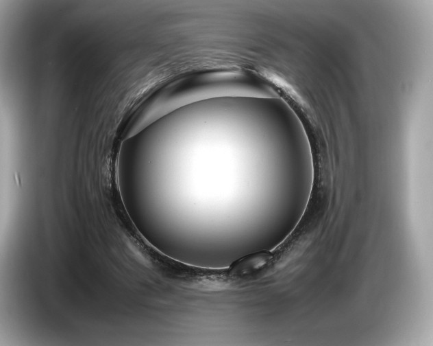 X0000087050489200704181240