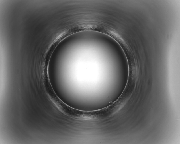 X0000087050490200704181240