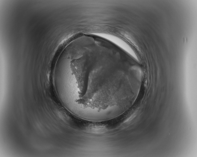 X0000087050491200704181240