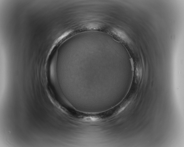 X0000087050492200704181240