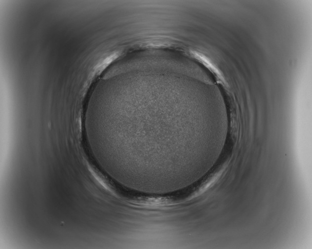 X0000087050493200704181240