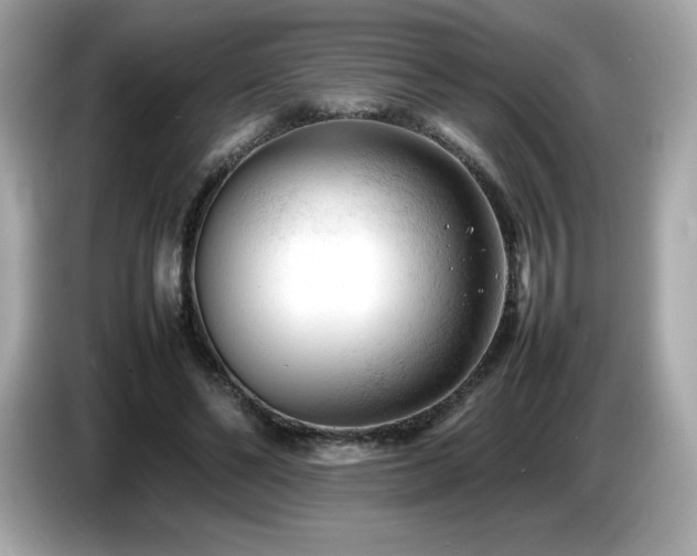 X0000087050494200704181240