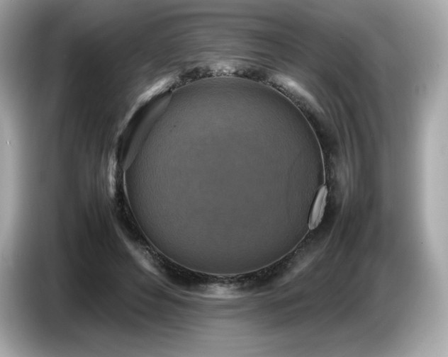 X0000087050496200704181240