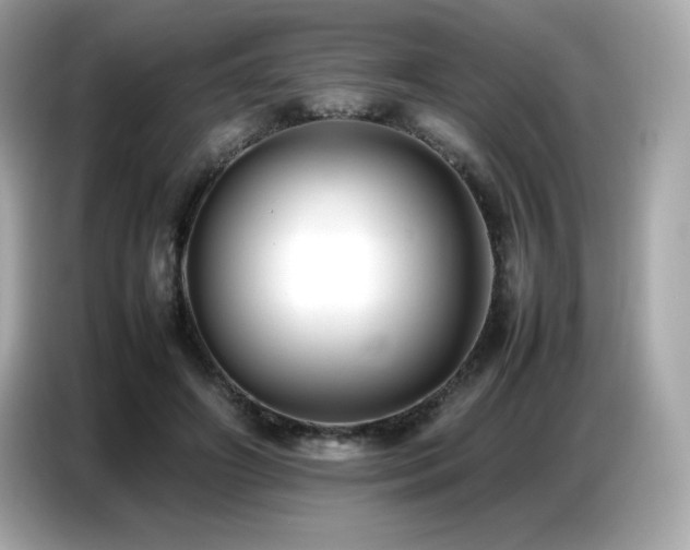 X0000087050498200704181240