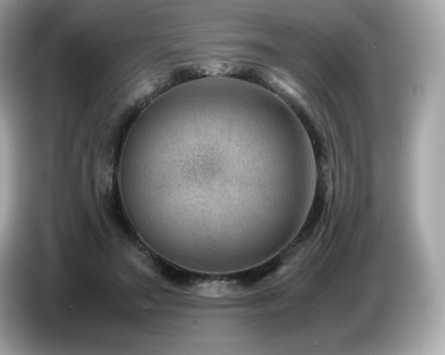 X0000087050499200704181240