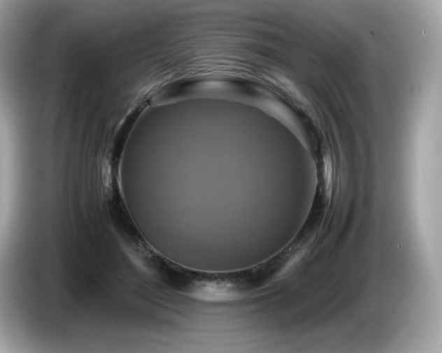 X0000087050500200704181240
