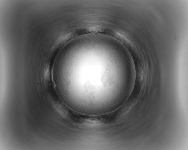 X0000087050502200704181240