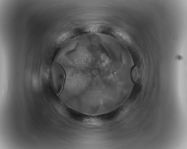 X0000087050503200704181240