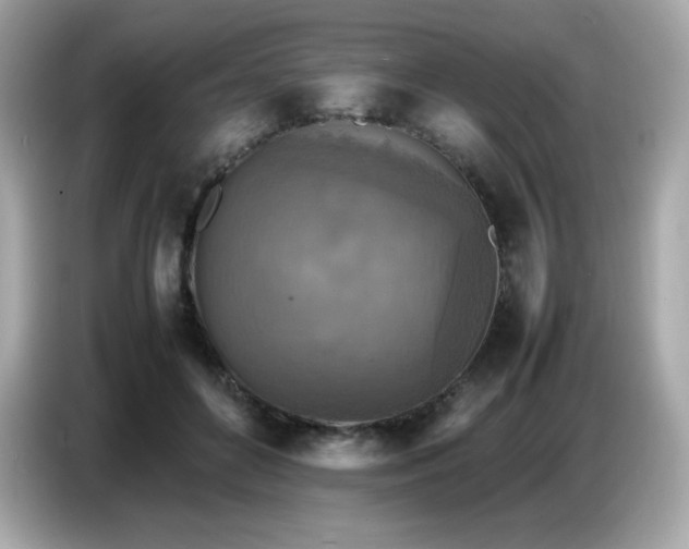 X0000087050504200704181240