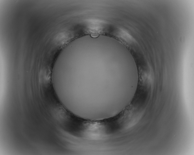 X0000087050507200704181240