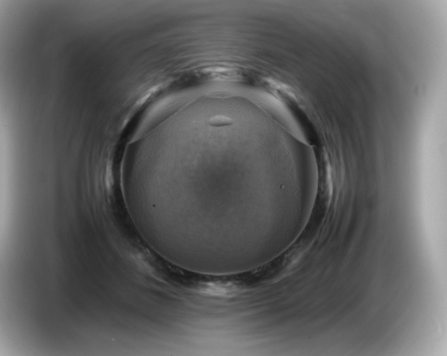 X0000087050508200704181240