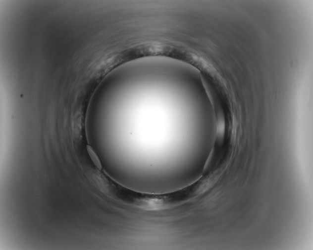 X0000087050509200704181240