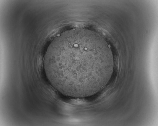 X0000087050511200704181240