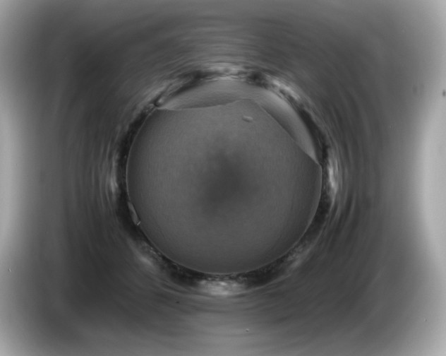 X0000087050512200704181240