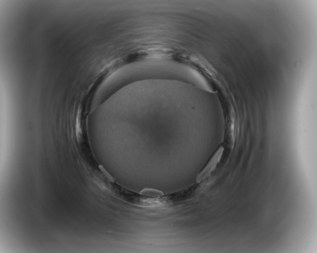 X0000087050516200704181240