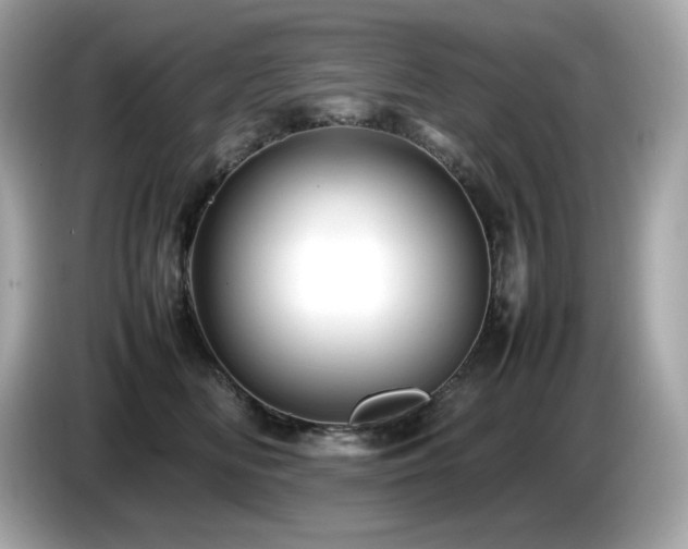 X0000087050518200704181240