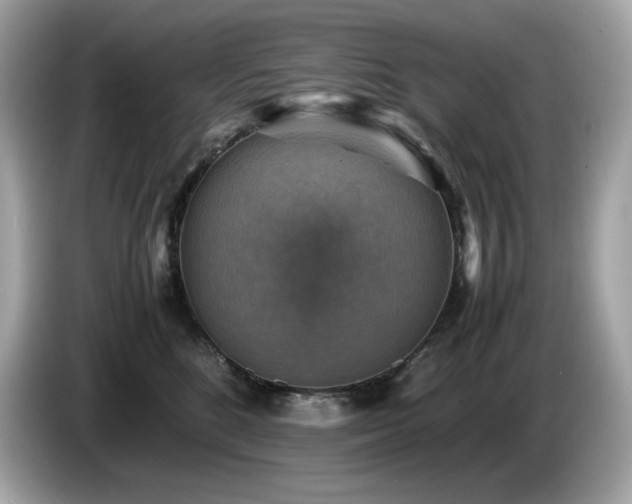 X0000087050520200704181240