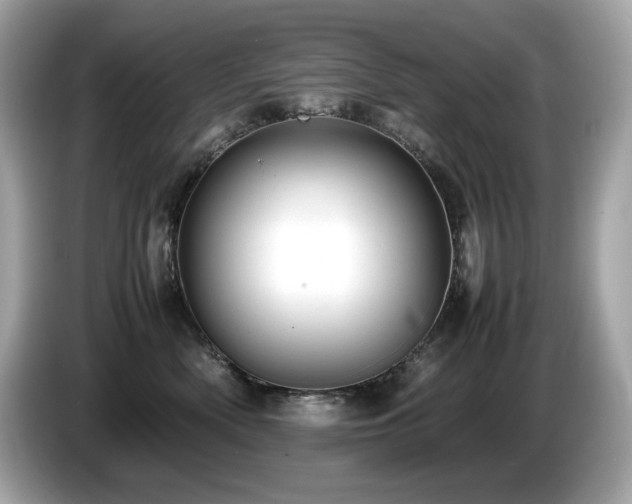 X0000087050522200704181239