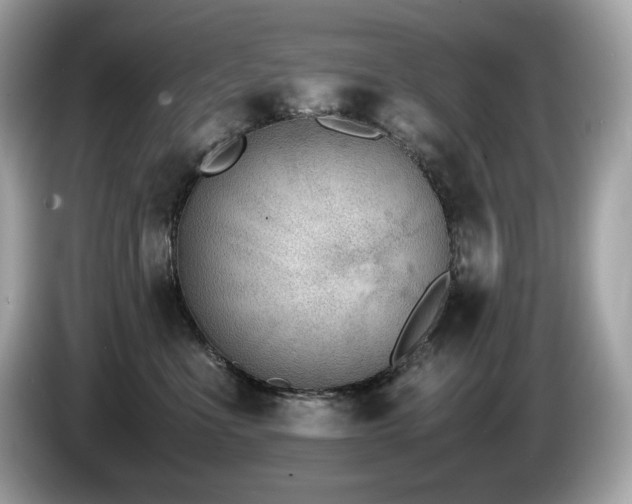 X0000087050523200704181239