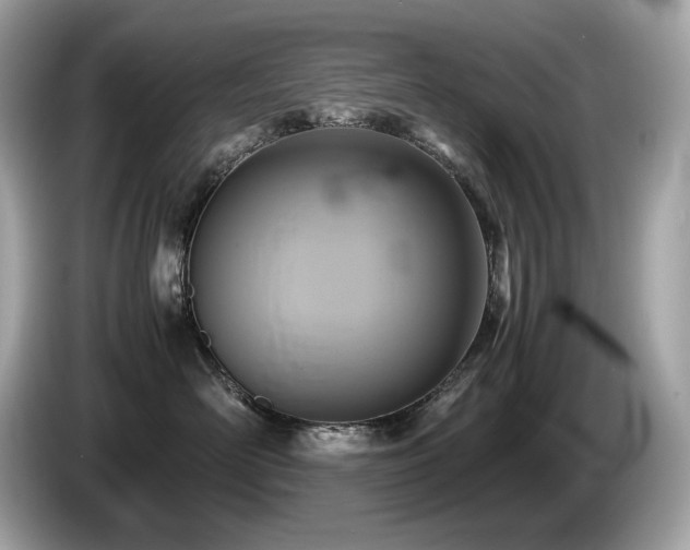 X0000087050526200704181239