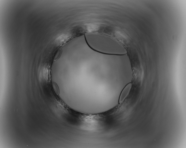X0000087050527200704181239