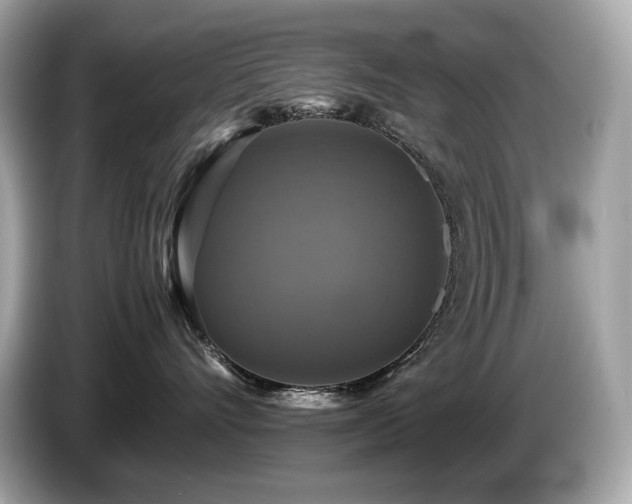 X0000087050528200704181239