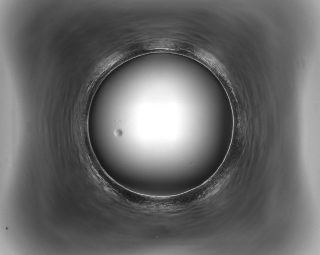 X0000087050529200704181239