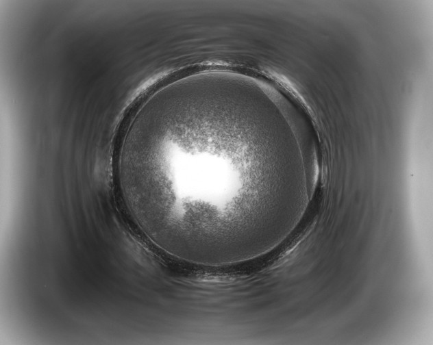 X0000087050531200704181239