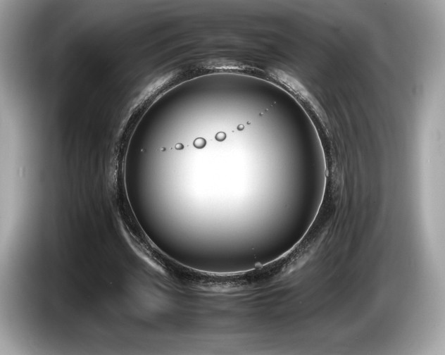 X0000087050533200704181239