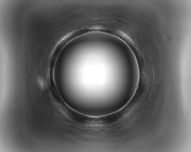 X0000087050535200704181239