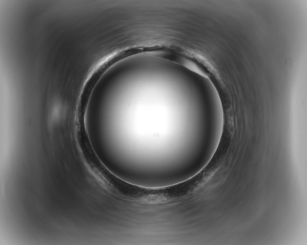 X0000087050536200704181239