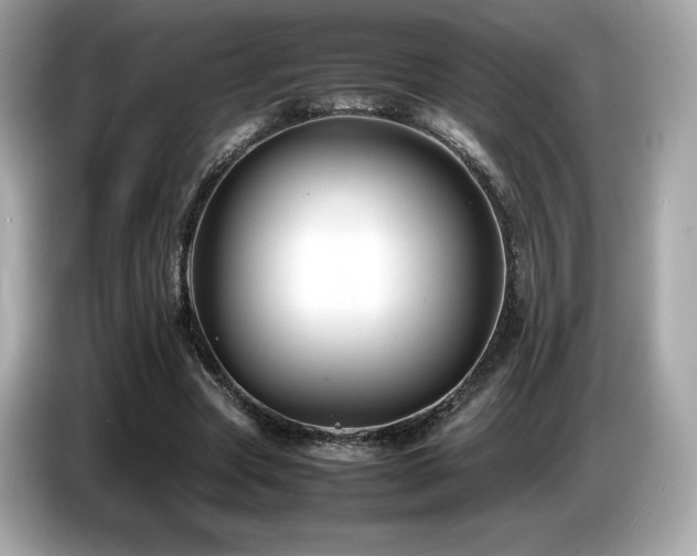 X0000087050537200704181239