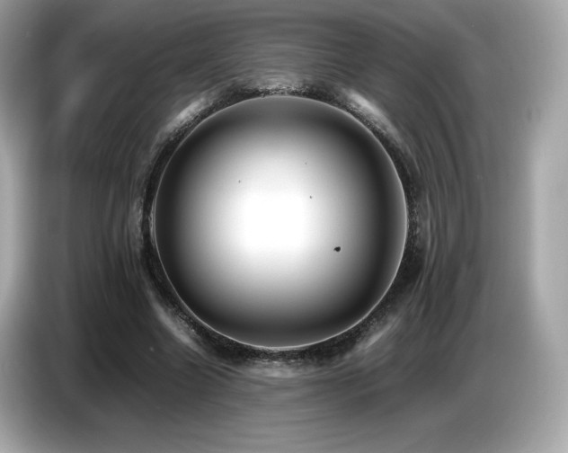X0000087050538200704181239
