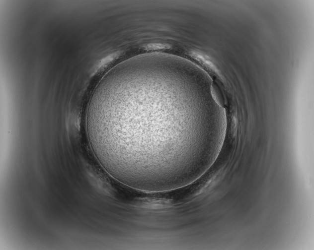 X0000087050539200704181239