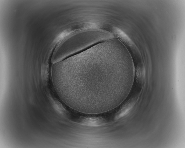 X0000087050540200704181239
