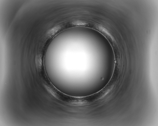 X0000087050541200704181239