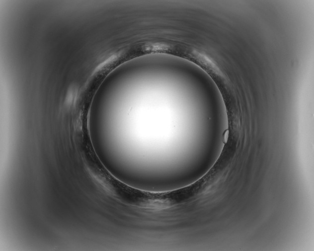 X0000087050543200704181239