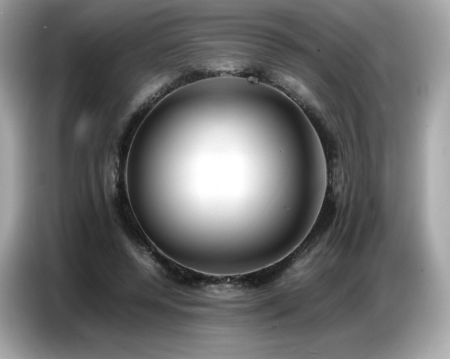 X0000087050544200704181239