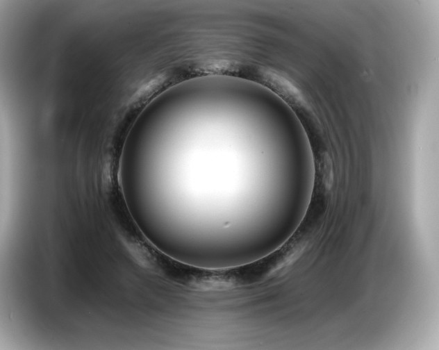 X0000087050546200704181239